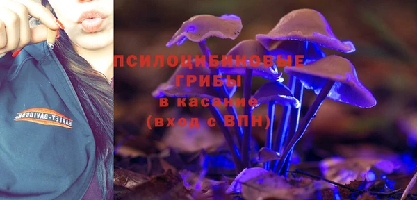 гидропоника Алексеевка