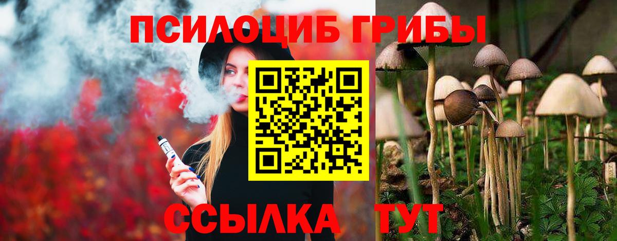 Галлюциногенные грибы мухоморы Волхов
