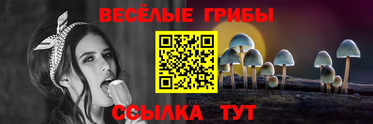 Галлюциногенные грибы GOLDEN TEACHER  Вход с VPN  Волхов 